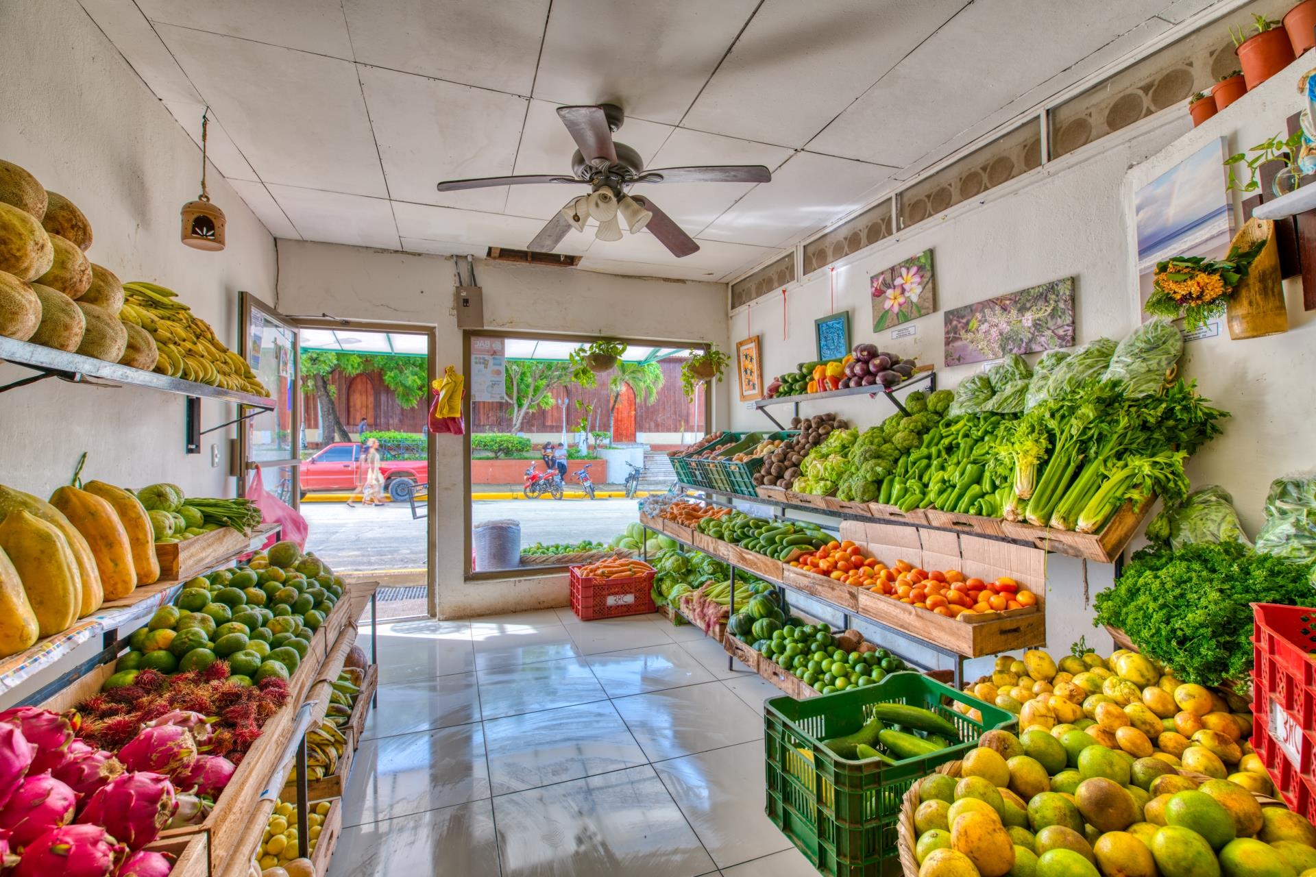 The Cost of Living in Nicaragua A Comprehensive Guide La Santa Maria